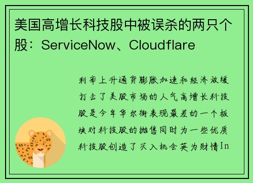 美国高增长科技股中被误杀的两只个股：ServiceNow、Cloudflare 